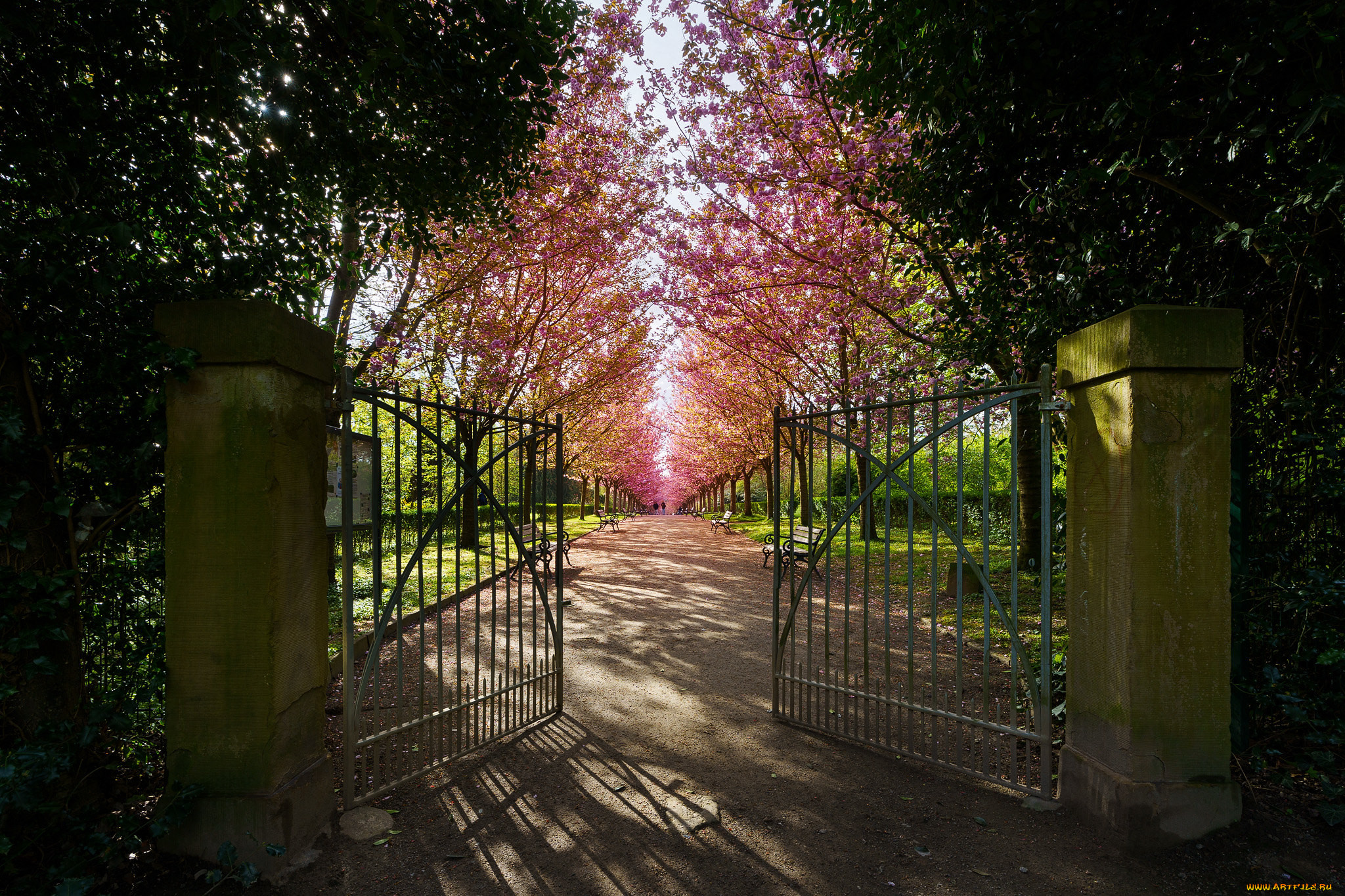 �������, ����